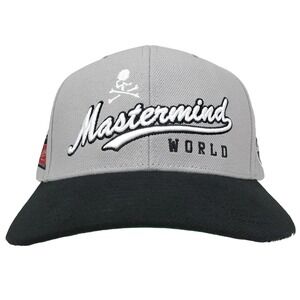 Mastermind World Mitchell & Ness Pro Fit Hat Cap 3D Logo Side Art Gray Black New